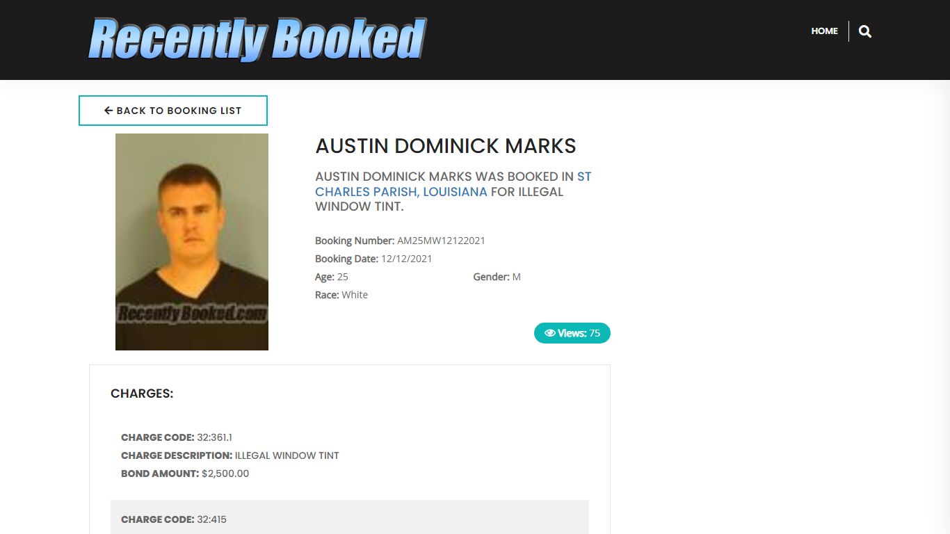 Recent Booking / Mugshot for AUSTIN DOMINICK MARKS in St ...